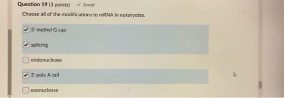 Question 19 (3 points) Saved Choose all of the modifications to mRNA in eukaryotes. 5 methyl G cap splicing endonuclease 3