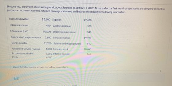 Skysong Inc, a provider of consulting services, was founded on October 1, 2022. At the end of the first month of operations,