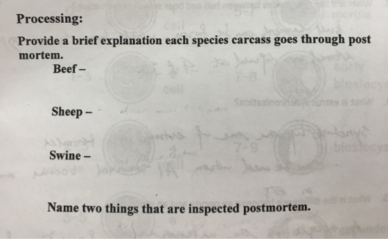 Processing: Provide a brief explanation each species carcass goes through post mortem. Beef - Sheep - Swine - Name two things