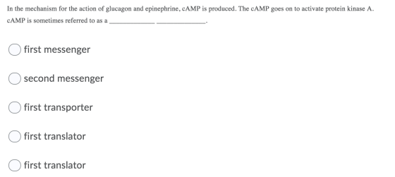 In the mechanism for the action of glucagon and epinephrine, cAMP is produced. The CAMP goes on to activate protein kinase A.