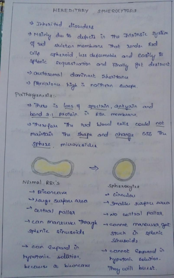 HEREDITARY SPHEROCYTOSIS > Inherited disorders & Mainly due to defects in the Intrinsic system of red skeleton membione That