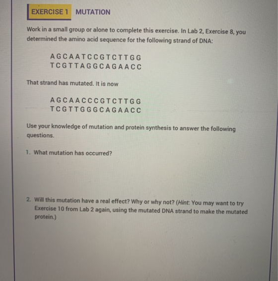 EXERCISE 1 MUTATION Work in a small group or alone to complete this exercise. In Lab 2, Exercise 8, you determined the amino