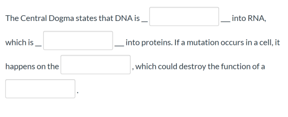 The Central Dogma states that DNA is _ into RNA, which is into proteins. If a mutation occurs in a cell, it happens on the wh