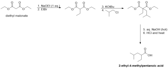 1. NaOEt (1 eq 2. EtBr སུ་ ག ན༌ ༌ ་ 3. KotBu Yi 4. diethyl malonate 5. aq. NaOH (hot) 6. HCI and heat 2-ethyl-4-methylpentano