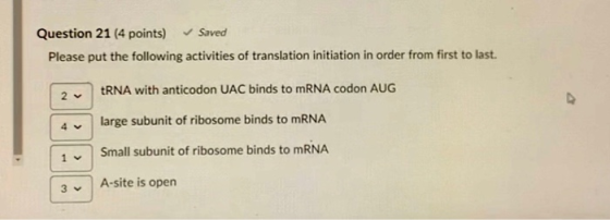 Question 21 (4 points) ✓ Saved Please put the following activities of translation initiation in order from first to last. 2 t