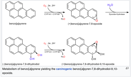 02.2e, 2H H20 CYP1A1/CYP1B1 Epoxide-Hydrolase H20 benzo[alpyrene +)benzo[a]pyrene-7,8-epoxide CYP1A1/ CYP1B1 он он H20 он +)b