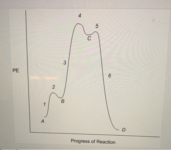 PE Progress of Reaction