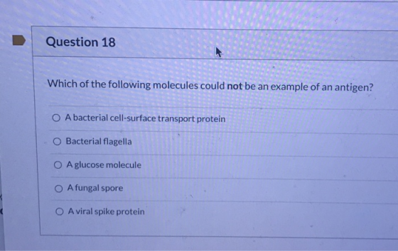 Question 18 Which of the following molecules could not be an example of an antigen? O A bacterial cell-surface transport prot