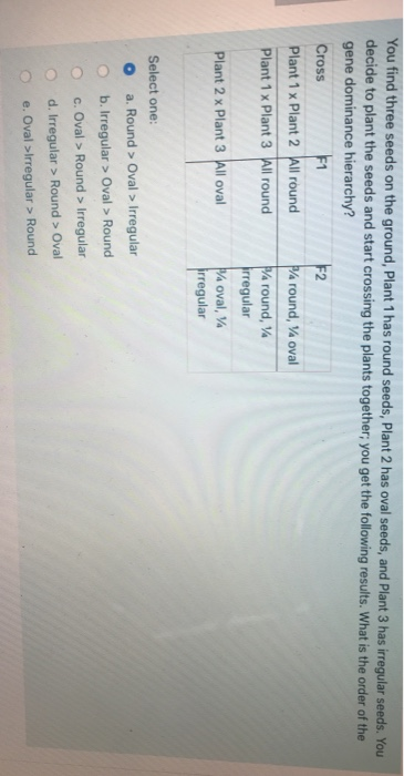 F1 You find three seeds on the ground, Plant 1 has round seeds, Plant 2 has oval seeds, and Plant 3 has irregular seeds. You