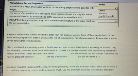 Effect Malnutrition During Pregnancy May occur as a result of an undernourished mother during pregnancy who gains too little