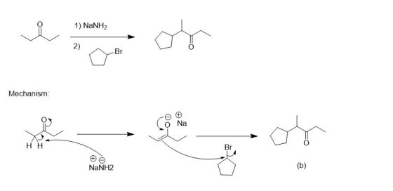 1) NaNH2 2) Br Mechanism: O Na HH Br NaNH2 (b)