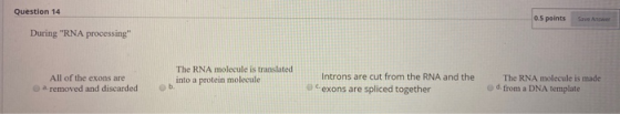 Question 14 0.5 points Save Answer During RNA processing All of the exons are a. removed and discarded The RNA molecule is