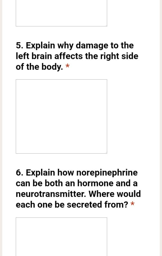 5. Explain why damage to the left brain affects the right side of the body. * 6. Explain how norepinephrine can be both an ho