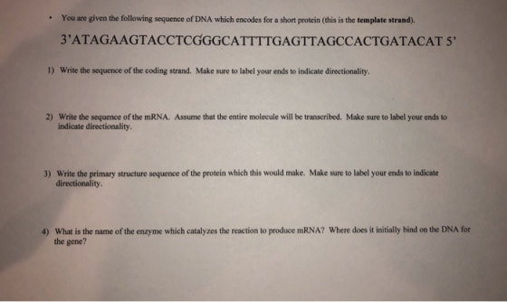 You are given the following sequence of DNA which encodes for a short protein (this is the template strand). 3ATAGAAGTACCTCG