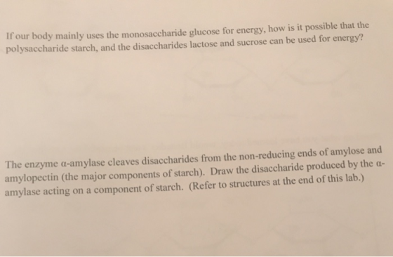 If our body mainly uses the monosaccharide glucose for energy, how is it possible that thoe polysaccharide starch, and the di