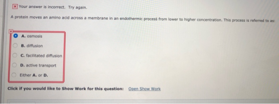 x Your answer is incorrect. Try again. A protein moves an amino acid across a membrane in an endothermic process from lower t