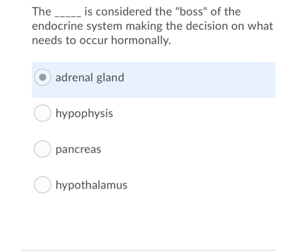 The _____ is considered the boss of the endocrine system making the decision on what needs to occur hormonally. adrenal gla