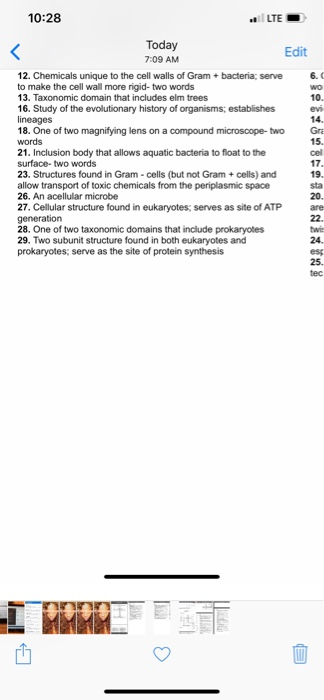 10:28 Edit 7:09 AM 6. 12. Chemicals unique to the cell walls of Gram+ bacteria; serve to make the cell wall more rigid-two words 13. Taxonomic domain that includes elm trees 16. Study of the evolutionary history of organisms; establishes 18. One of two magnifying lens on a compound microscope-two Gr 15. 21. Inclusion body that allows aquatic bacteria to float to the 23, Structures found in Gram-cells (but not Gram + cells) and allow transport of toxic chemicals from the periplasmic space 26. An acellular microbe 27. Cellular structure found in eukaryotes; serves as site of ATP 28. One of two taxonomic domains that include prokaryotes 29. Two subunit structure found in both eukaryotes and prokaryotes; serve as the site of protein synthesis