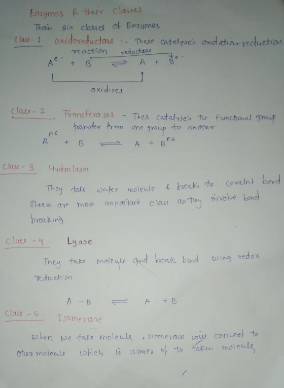 Enzymes R their classes Their six classes of Enzymes Clace - 1 oxidoreductare - These catalyses oxidation reduction reaction