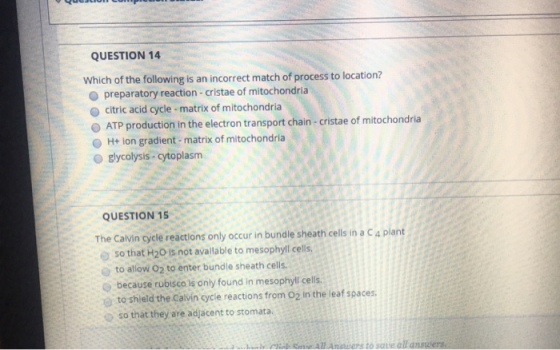 UCHS QUESTION 14 Which of the following is an incorrect match of process to location? preparatory reaction - cristae of mitoc