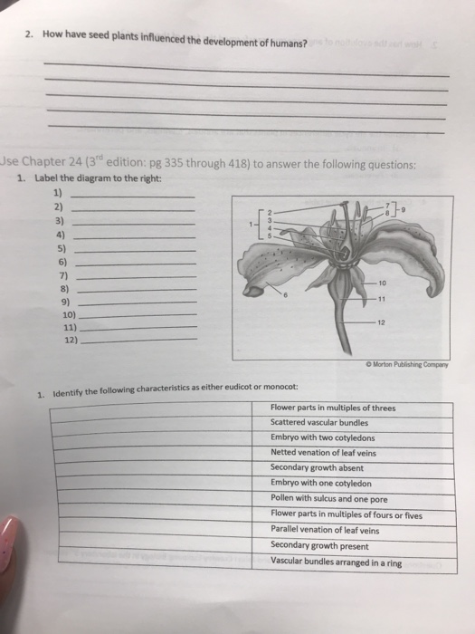 2. How have seed plants influenced the development of humans? Use Chapter 24 (3d edition: pg 335 through 418) to answer the f