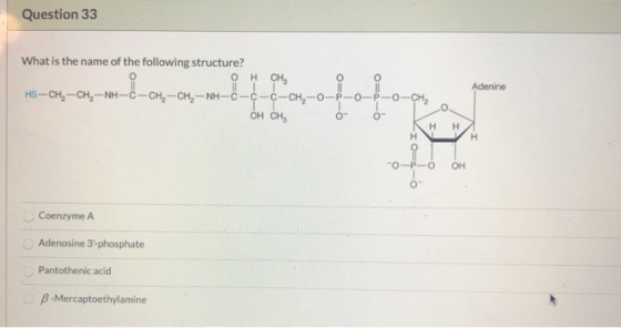 Question 33 What is the name of the following structure? он сн. HS-CH2-CH-NH-C-CH-CH-NH-C- O Adenine -C OH CH, 0 0 H H H IO=