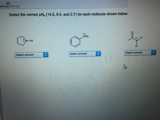 Select the correct pKb for each molecule shown bel