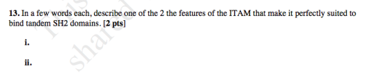 13. In a few words each, describe one of the 2 the features of the ITAM that make it perfectly suited to bind tandem SH2 domains. [2 pts]