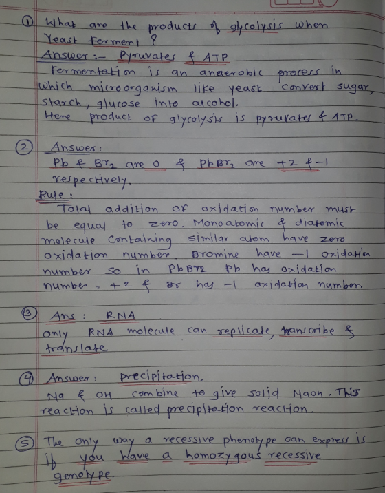 - What are the products of glycolysis when Yeast ferment & Answer:- Pyruvates & ATP Fermentation is an anaerobic process in w