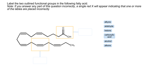 Image for Label the two outlined functional groups in the following fatty acid. Note: If you answer any part of this que