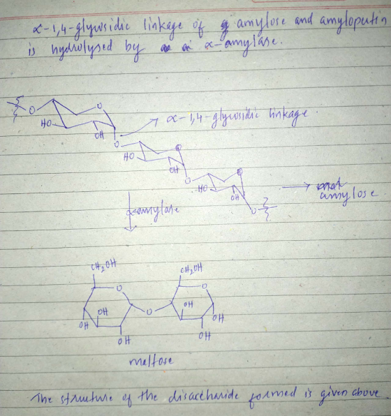 amul ose and amyloput IJ hydrolysed bl 0 Ho Ho an CH,0H 애 애 애 malfose iacehanide t-ormed given above