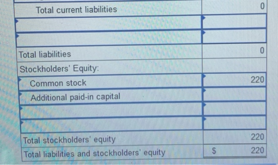 0 Total current liabilities 0 Total liabilities Stockholders Equity: Common stock Additional paid-in capital 220 220 Total s