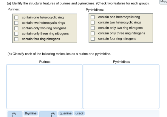 (a) Identify the structural features of purines and pyrimidines. (Check two features for each group). for each group). Nap, Purines Pyrimidines: □ □ □ contain one heterocyclic ring contain two heterocyclic rings contain only two ring nitrogens contain only three ring nitrogens contain four ring nitrogens contain one heterocyclic ring contain two heterocyclic rings contain only two ring nitrogens contain only three ring nitrogens contain four ring nitrogens □ □ (b) Classify each of the following molecules as a purine or a pyrimidine Purines Pyrimidines NH2 thymine NH guanine uracil