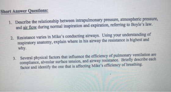 Short Answer Questions: 1. Describe the relationship between intrapulmonary pressure, atmospheric pressure, and air flow duri