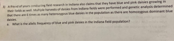 3) A friend of yours conducting field research in Indiana also claims that they have blue and pink daisies growing in their f