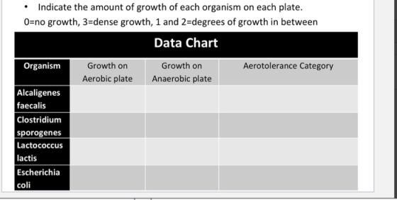 • Indicate the amount of growth of each organism on each plate. O=no growth, 3=dense growth, 1 and 2=degrees of growth in bet