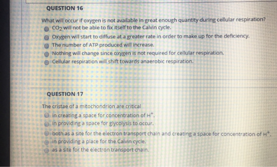 QUESTION 16 What will occur if oxygen is not available in great enough quantity during cellular respiration? CO2 will not be