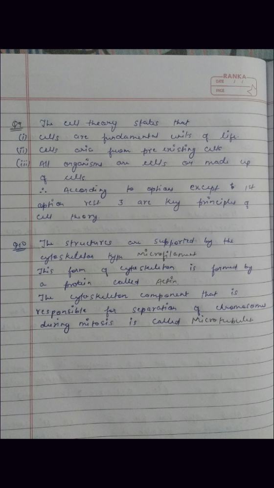 RANKAS- DATE I PAGE -옆 lamin unts Cin Au 다 nク Skuta han İs rS separah an- q cwemefonu responeilte