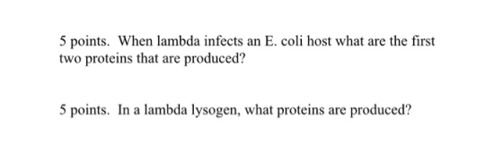 5 points. When lambda infects an E. coli host what are the first two proteins that are produced? 5 points. In a lambda lysoge