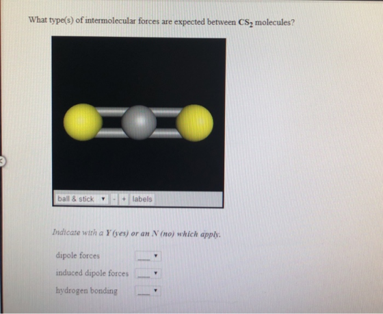 What type(s) of intermolecular forces are expected between CS2 molecules? ball & stick - + labels Indicate with a Y (yes) or