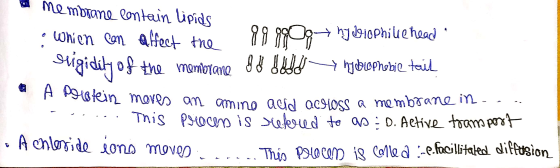 membrane lontein lipids ii 10Phiue haad Whien Com afect tne sgidi o the memiotane A P9tein move am amino aud aCHOSS a memb&an