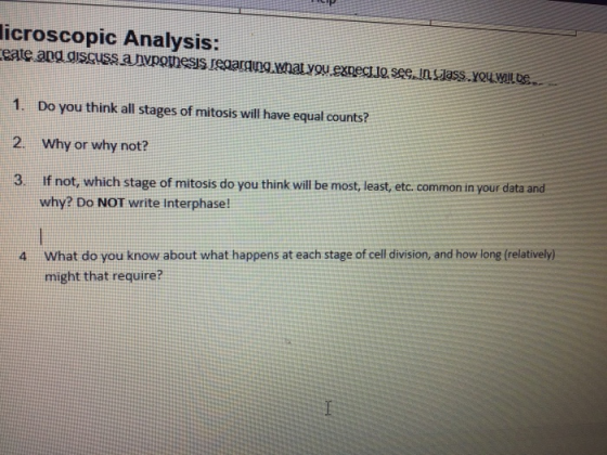 licroscopic Analysis: ceate and discuss a hypothesis regarding what you expecije see. In Jass.YOU WILDE. 1. Do you think all