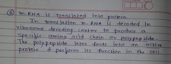 6 DO M. RNA is translated into protein. In translation - RNA is decoded in Isibosome decoding center to produce a Specific am