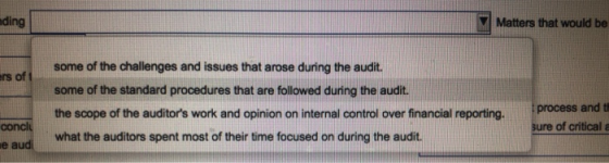ding Matters that would be some of the challenges and issues that arose during the audit. rs of 1 some of the standard proced