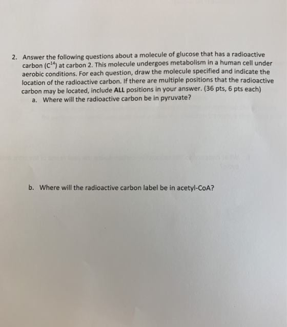 2. Answer the following questions about a molecule of glucose that has a radioactive carbon (C14) at carbon 2. This molecule
