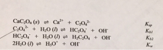 CaC204 (s) = Ca2+ + C20,2- C2042- + H2O(l) = HC2O4 + OH HC204 + H2O () = H2C204 + OH 2H20 (1) = H3O+ + OH