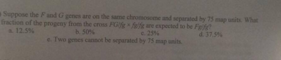 Suppose the F and G genes are on the same chromosome and separated by 75 map What units. fraction of the progeny from the cross FGlg x felfg are expected to be Fgig? 12,5% 50% c.25% d. 37,5% e. Two genes cannot be separated by 75 map units.