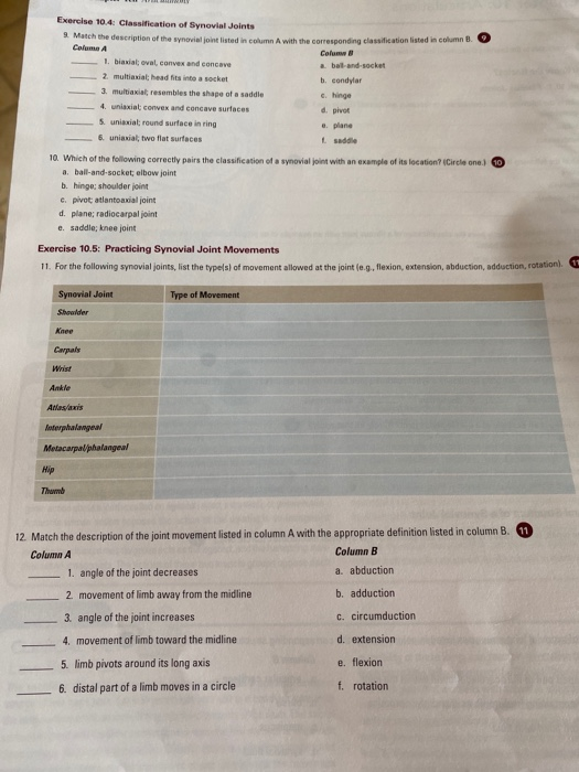 Exercise 10.4: Classification of Synovial Joints 9. Match the description of the synovial joint listed in column with the cor