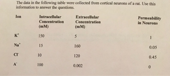 The data in the following table were collected from cortical neurons of a rat. Use this information to answer the questions. Ion Intracellular Concentration (mM) Extracellular Concentration (mM) Permeability in Neurons K* Nat Cr 150 15 10 100 160 120 0.002 0.05 0.45