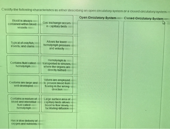 Classify the following characteristics as either describing an open circulatory system or a closed circulatory system. Open C